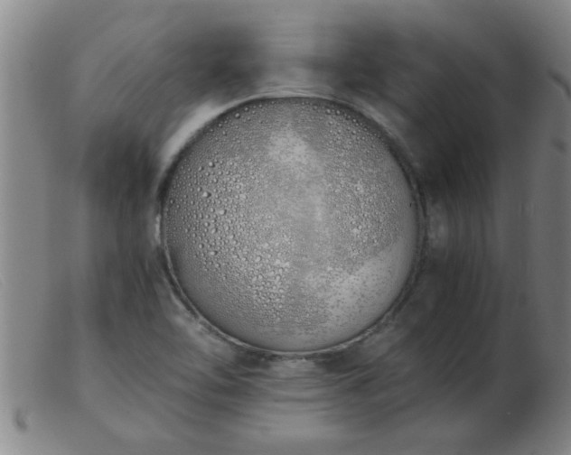 X0000103501462200809191934