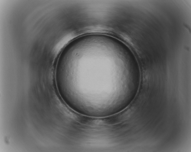 X0000103501463200809191934