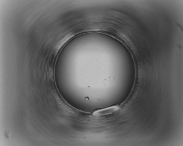 X0000103501465200809191934