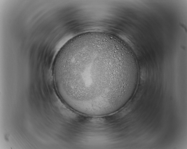 X0000103501466200809191934