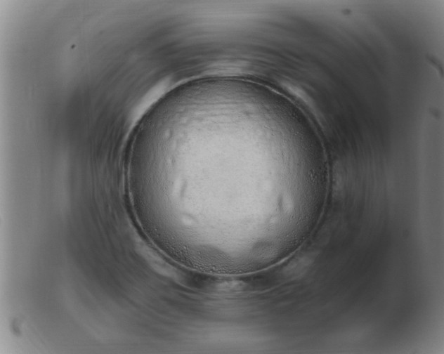 X0000103501467200809191934