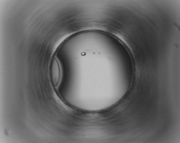 X0000103501468200809191934