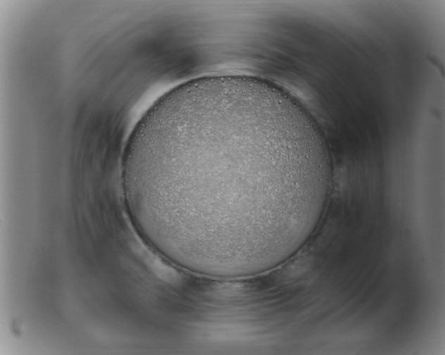 X0000103501470200809191934