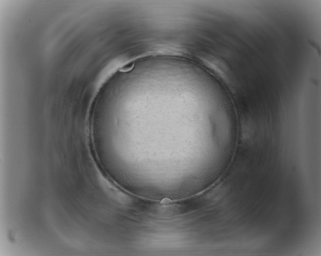 X0000103501471200809191934