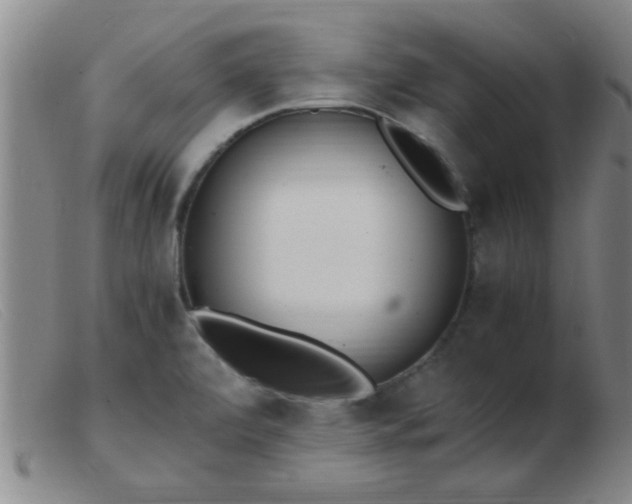 X0000103501472200809191934