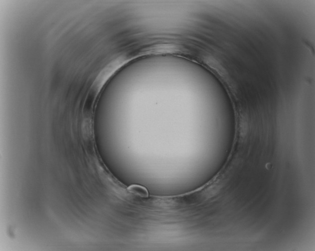 X0000103501473200809191934