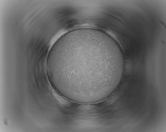 X0000103501474200809191934