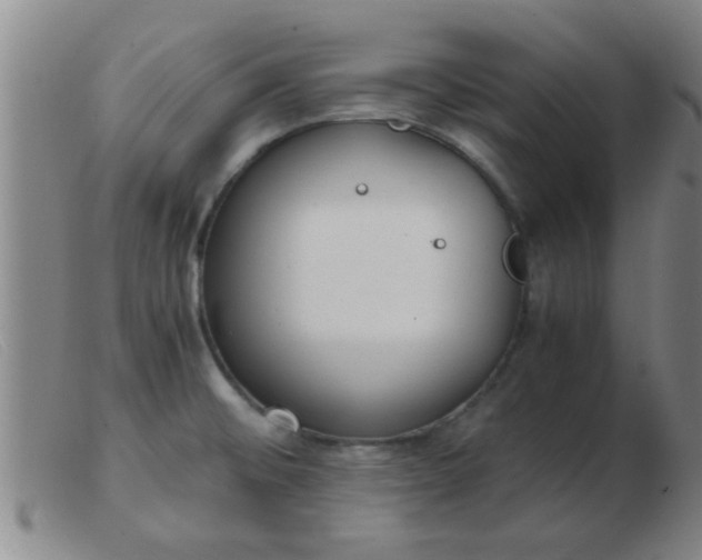 X0000103501476200809191934