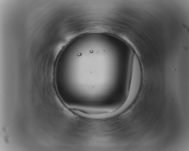 X0000103501477200809191934