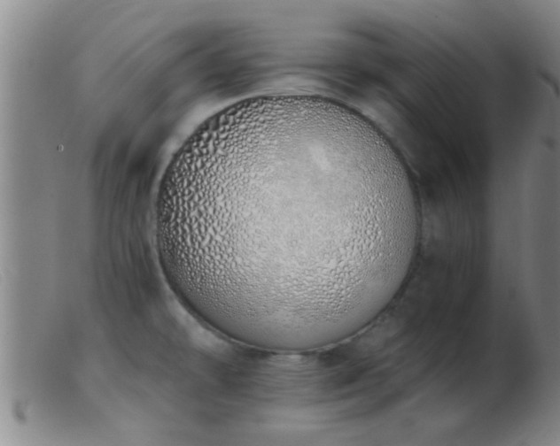 X0000103501478200809191934