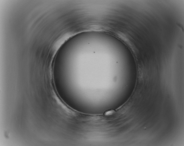 X0000103501479200809191934