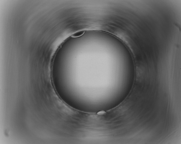 X0000103501480200809191934