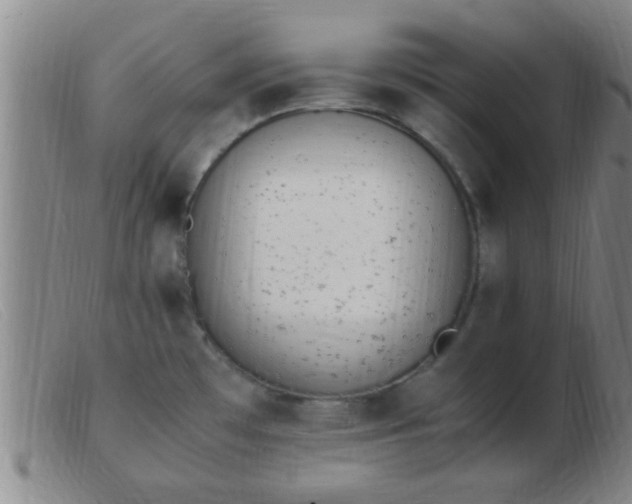 X0000103501481200809191934