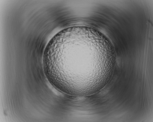 X0000103501482200809191934