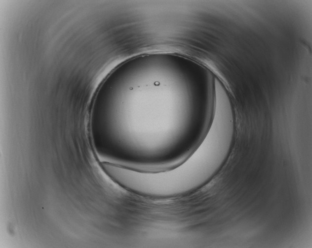 X0000103501484200809191934