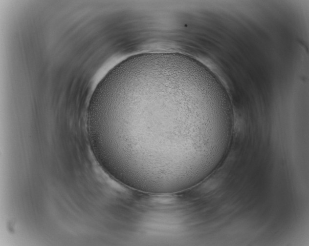 X0000103501486200809191934