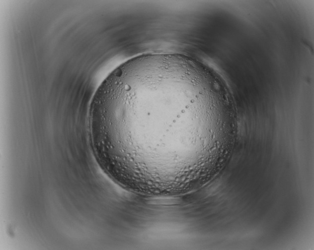 X0000103501487200809191934