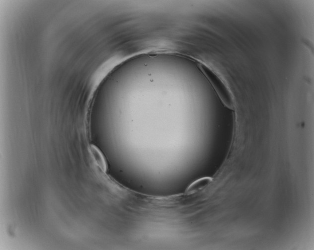 X0000103501488200809191934