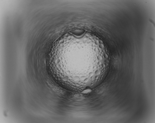 X0000103501489200809191933