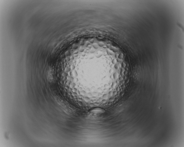 X0000103501490200809191933