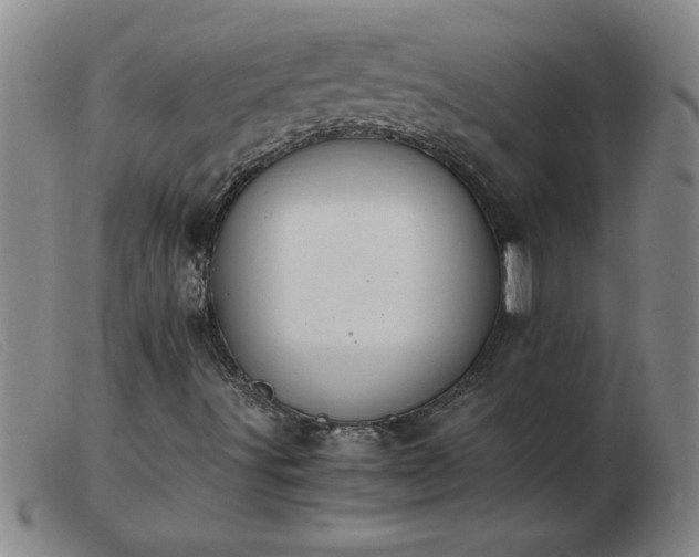 X0000103501491200809191933