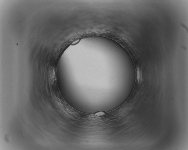 X0000103501492200809191933