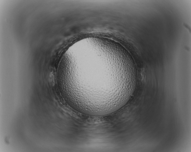 X0000103501493200809191933