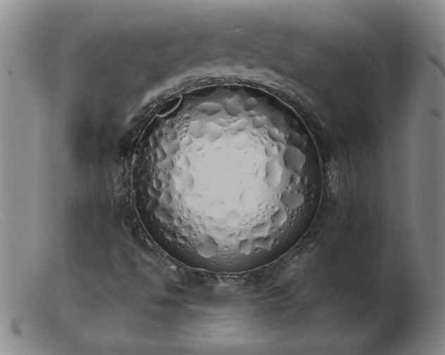 X0000103501494200809191933