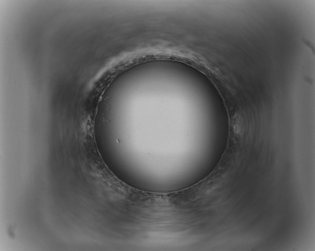 X0000103501495200809191933