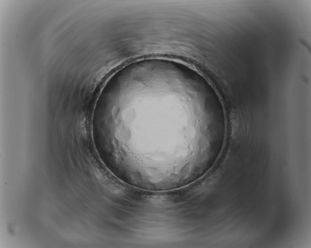 X0000103501497200809191933