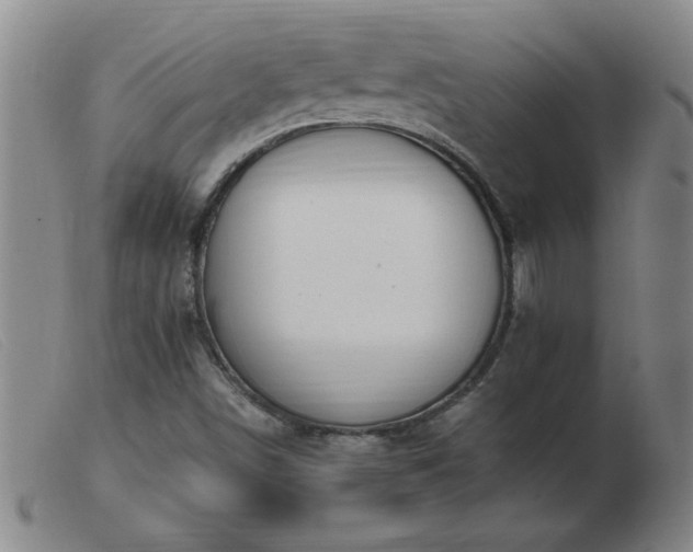 X0000103501498200809191933