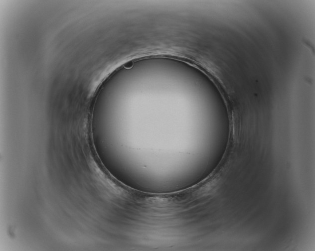 X0000103501500200809191933