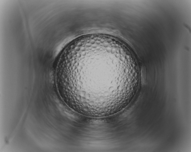 X0000103501501200809191933