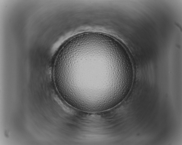 X0000103501503200809191933