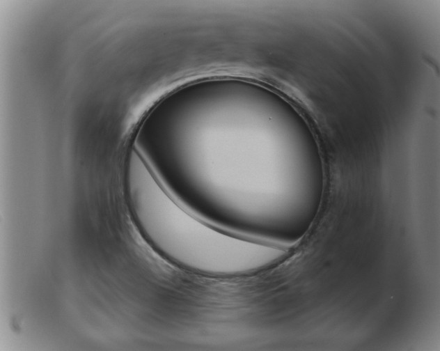 X0000103501504200809191933