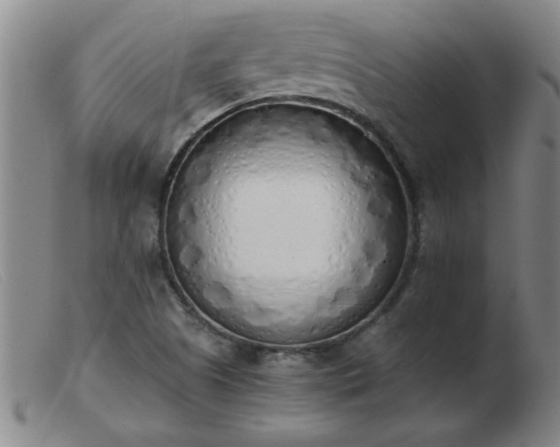 X0000103501505200809191933