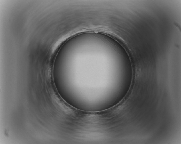 X0000103501506200809191933