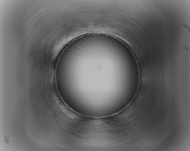 X0000103501507200809191933