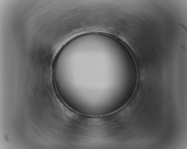 X0000103501508200809191933