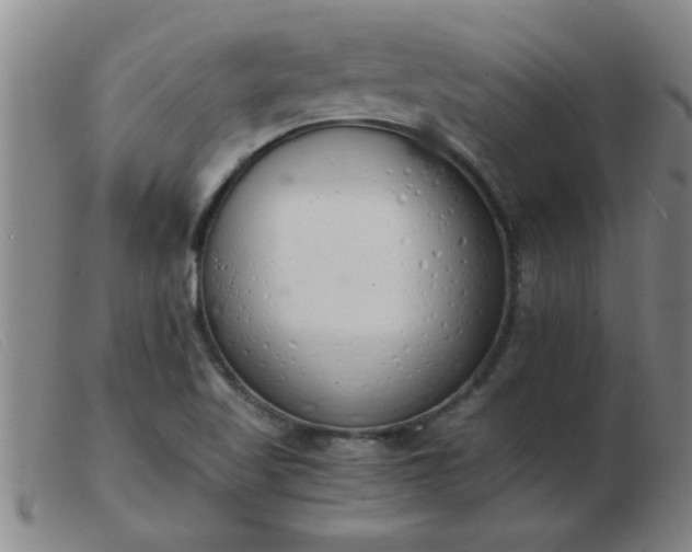 X0000103501509200809191933