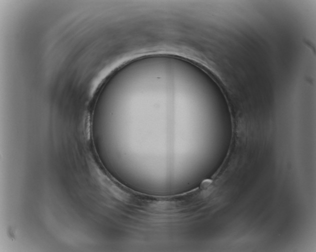 X0000103501510200809191933