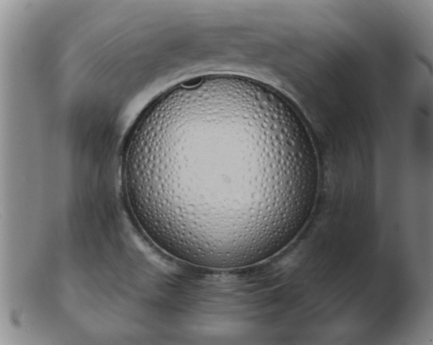 X0000103501511200809191933