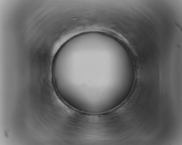 X0000103501512200809191933