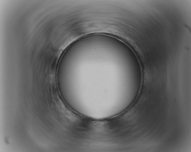 X0000103501513200809191933