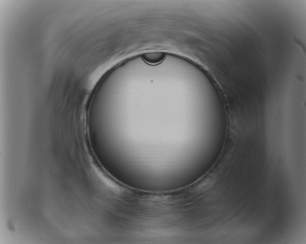 X0000103501519200809191933