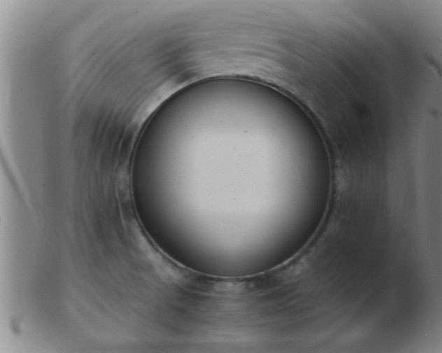 X0000103501521200809191933