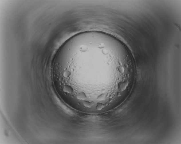 X0000103501525200809191933