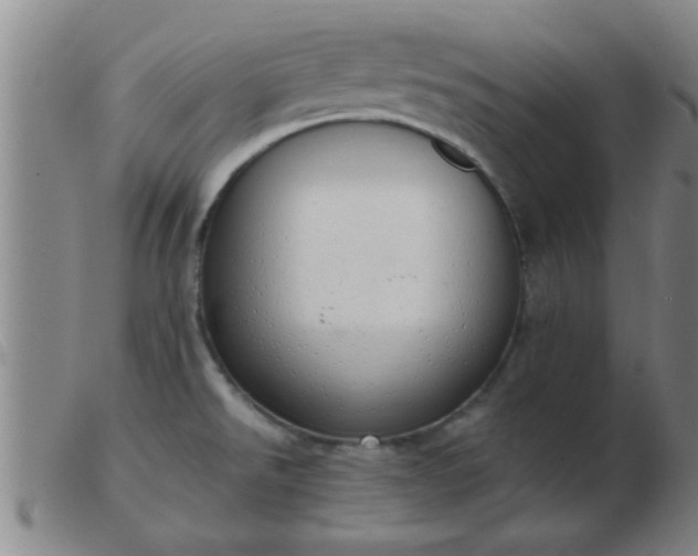 X0000103501526200809191933