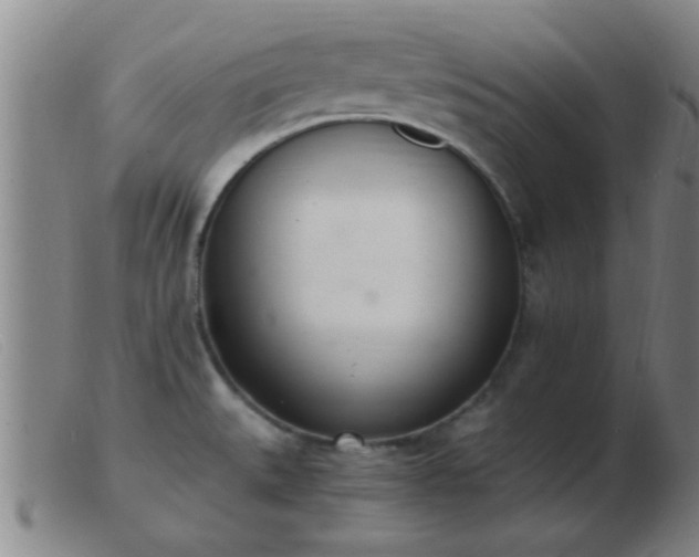 X0000103501527200809191934