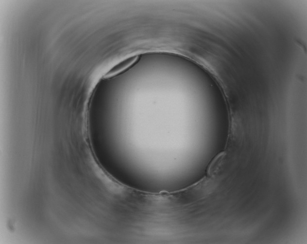 X0000103501528200809191934